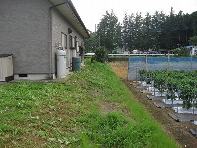 f:id:docan:20160703025313j:image f:id:docan:20160703025313j:image