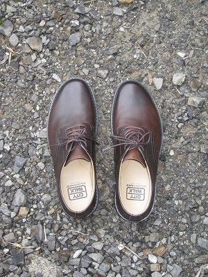 f:id:docan:20160704062503j:image f:id:docan:20160704062503j:image