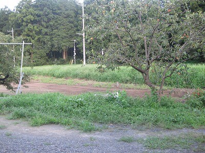 f:id:docan:20160901055705j:image f:id:docan:20160901055705j:image