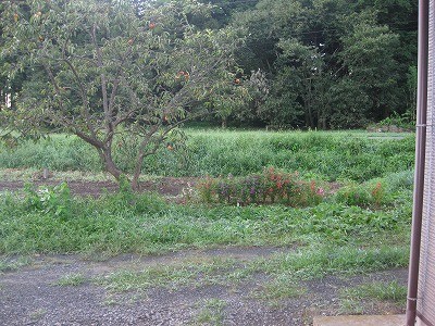 f:id:docan:20160901055710j:image f:id:docan:20160901055710j:image