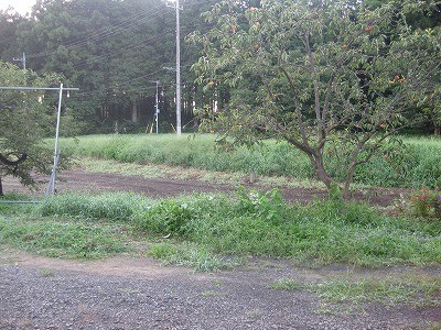 f:id:docan:20160901055711j:image f:id:docan:20160901055711j:image