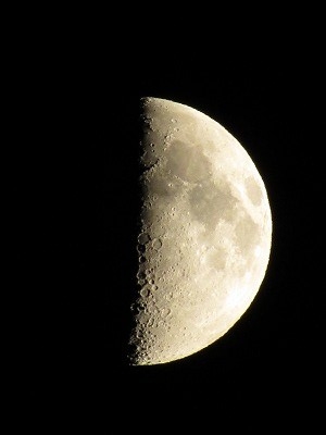 f:id:docan:20160909233333j:image