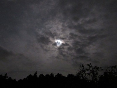 f:id:docan:20160915223525j:image