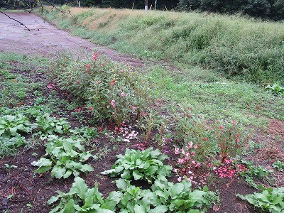 f:id:docan:20160923015114j:image