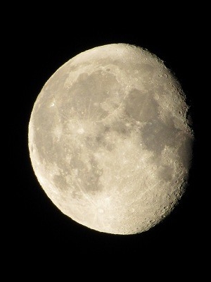 f:id:docan:20161117213305j:image