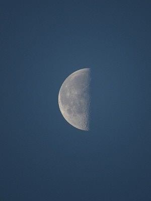 f:id:docan:20161222011210j:image