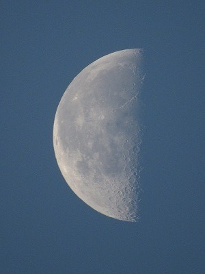 f:id:docan:20161222011211j:image