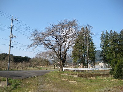 f:id:docan:20170403225958j:image