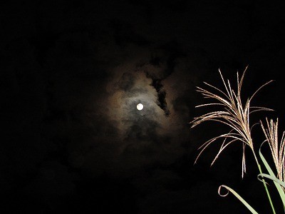 f:id:docan:20171004231128j:image