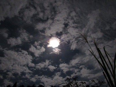 f:id:docan:20171004231133j:image