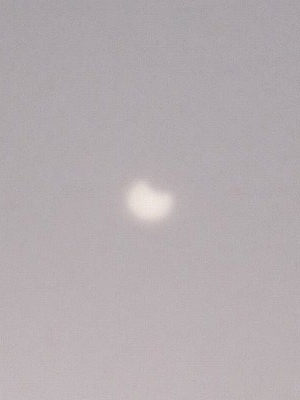f:id:docan:20190106215921j:image