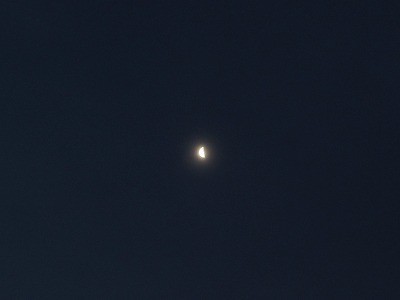 f:id:docan:20190129002409j:plain