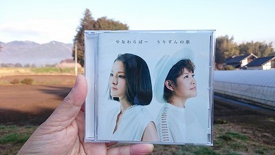 f:id:docan:20190324224758j:plain f:id:docan:20190324224758j:plain