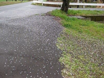 f:id:docan:20190415231451j:plain