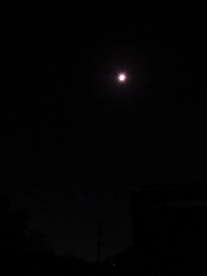 f:id:docan:20190415232028j:plain