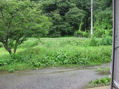 f:id:docan:20200726215529j:plain f:id:docan:20200726215529j:plain