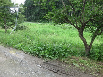 f:id:docan:20200730213518j:plain f:id:docan:20200730213518j:plain