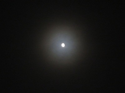 f:id:docan:20200808211912j:plain