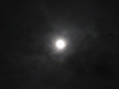 f:id:docan:20200903234937j:plain