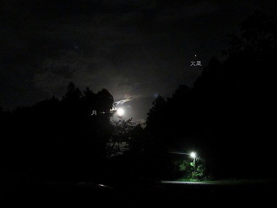 f:id:docan:20200907233557j:plain