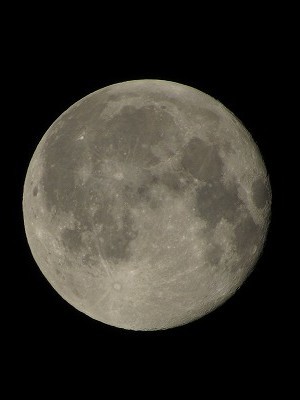 f:id:docan:20201201222746j:plain