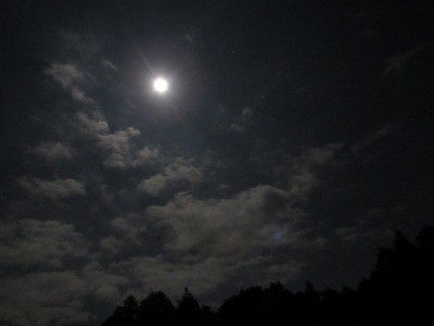 f:id:docan:20201201222750j:plain