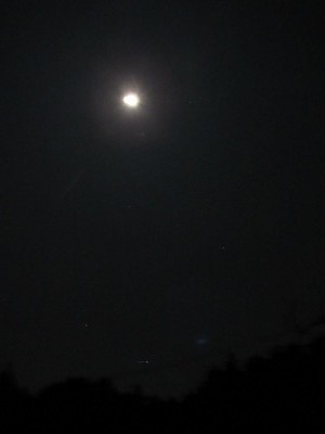 f:id:docan:20201228213432j:plain