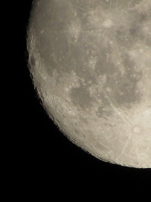 f:id:docan:20201228213500j:plain