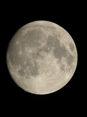 f:id:docan:20201228213503j:plain