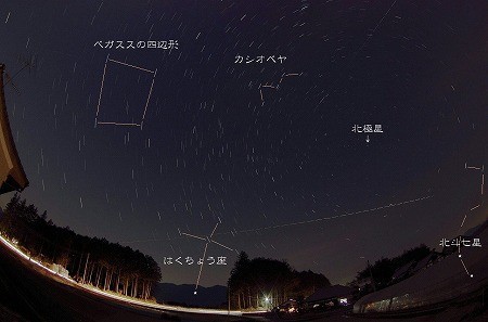 f:id:docan:20210122110807j:plain
