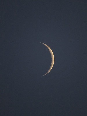 f:id:docan:20210316213225j:plain