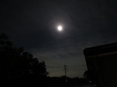 f:id:docan:20210523231601j:plain