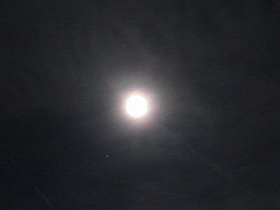 f:id:docan:20210523231607j:plain