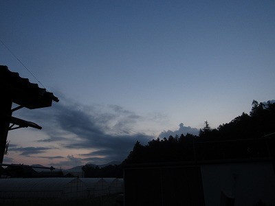 f:id:docan:20210604234814j:plain