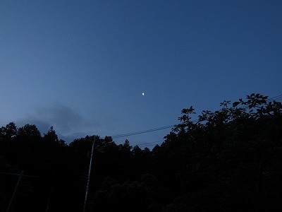 f:id:docan:20210604234818j:plain