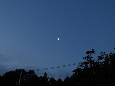 f:id:docan:20210604234822j:plain