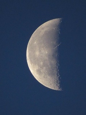 f:id:docan:20210604234830j:plain