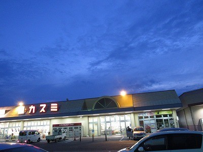 f:id:docan:20210613201503j:plain