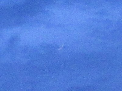 f:id:docan:20210613201508j:plain