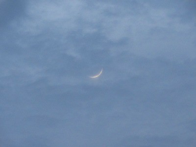 f:id:docan:20210613201512j:plain