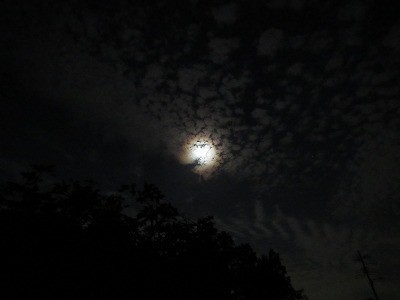 f:id:docan:20210621231622j:plain