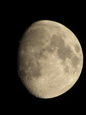 f:id:docan:20210621231632j:plain