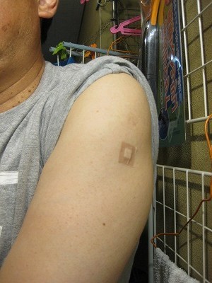 f:id:docan:20210825202123j:plain