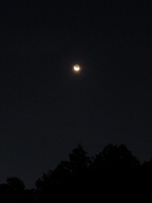 f:id:docan:20211102222023j:plain