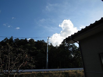 f:id:docan:20211108232308j:plain