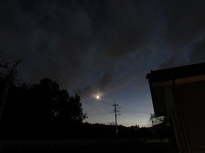 f:id:docan:20211108233746j:plain