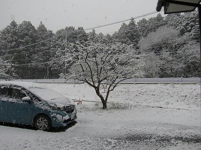 f:id:docan:20220106200459j:plain