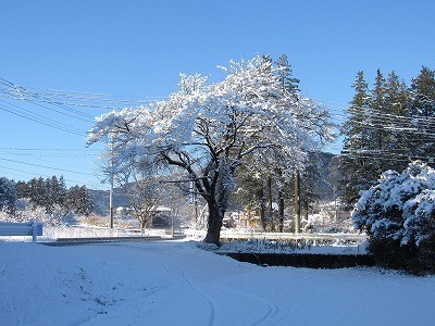 f:id:docan:20220108002612j:plain