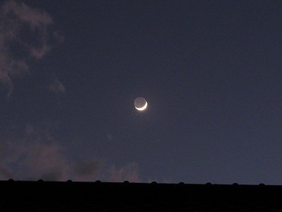 f:id:docan:20220305232340j:plain