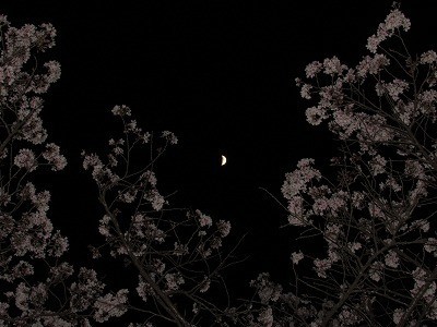 f:id:docan:20220408212545j:plain